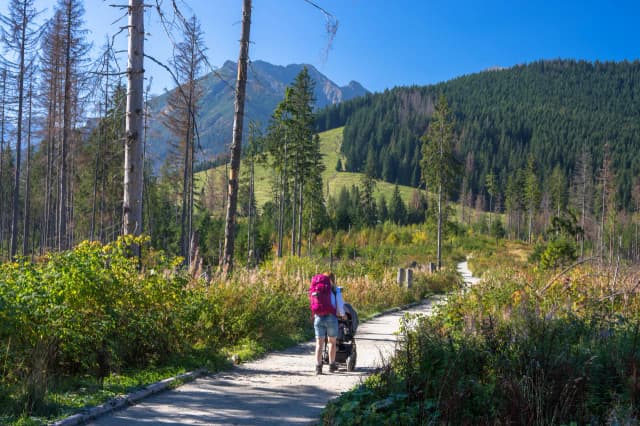 Gdzie w góry z rocznym dzieckiem? Bezpieczne szlaki i atrakcje Gdzie w góry z rocznym dzieckiem? Bezpieczne szlaki i atrakcje