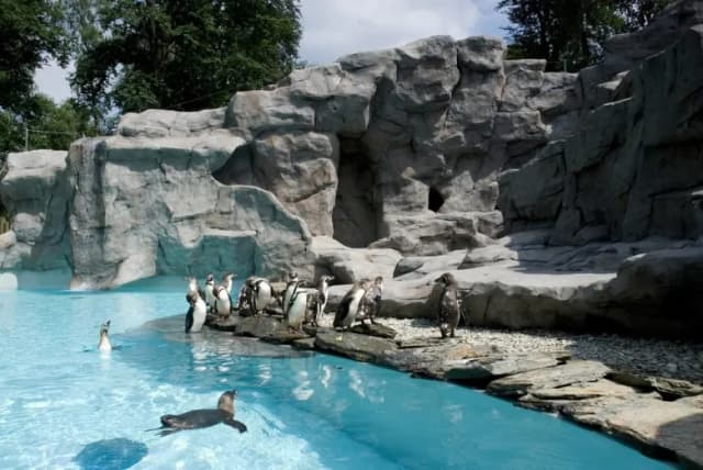 Co robić w Krakowie z dzieckiem? Odkryj najlepsze atrakcje rodzinne Co robić w Krakowie z dzieckiem? Odkryj najlepsze atrakcje rodzinne