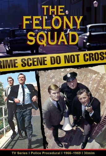 Постер фильма «Felony Squad»
