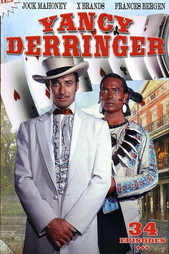 Постер фильма «Yancy Derringer»