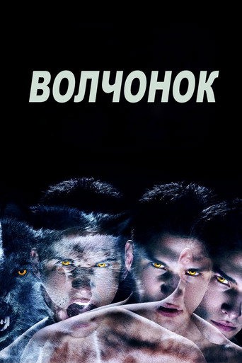 Постер фильма «Волчонок»
