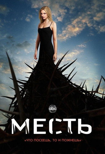 Постер фильма «Месть»