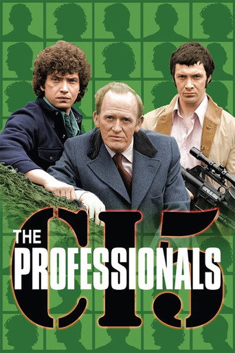 Постер фильма «The Professionals»