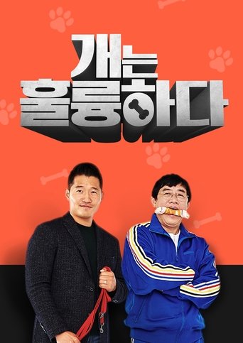 Постер фильма «개는 훌륭하다»