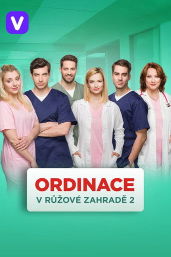 Постер фильма «Ordinace v růžové zahradě»