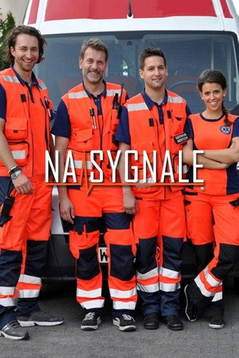 Постер фильма «Na sygnale»
