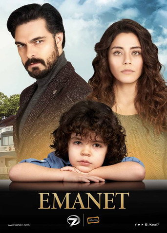 Постер фильма «Доверенное»