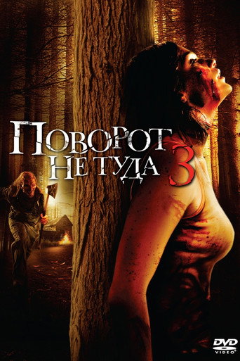 Постер фильма «Поворот не туда 3»