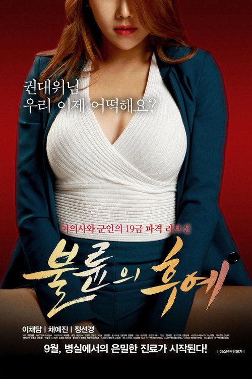 Постер: 불륜의 후예