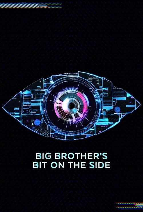 Постер: Big Brother's Bit on the Side