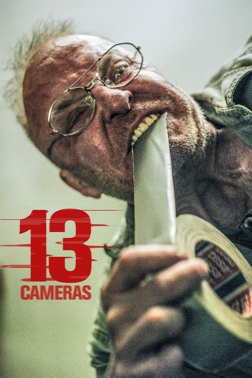 Постер: 13 камер