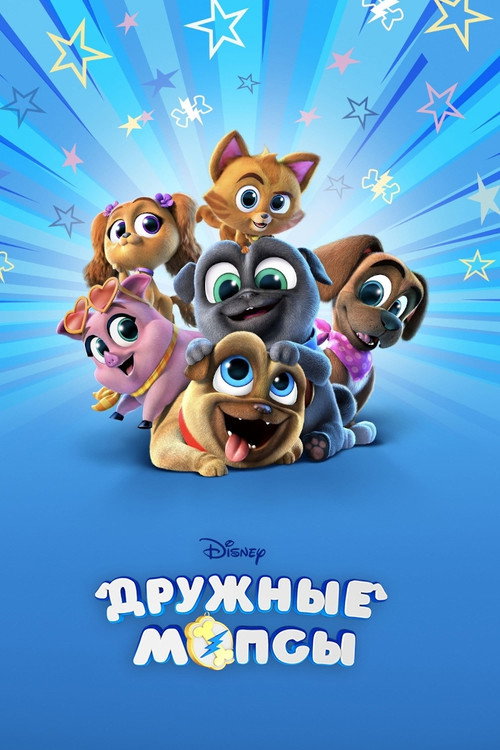 Постер: Дружные мопсы