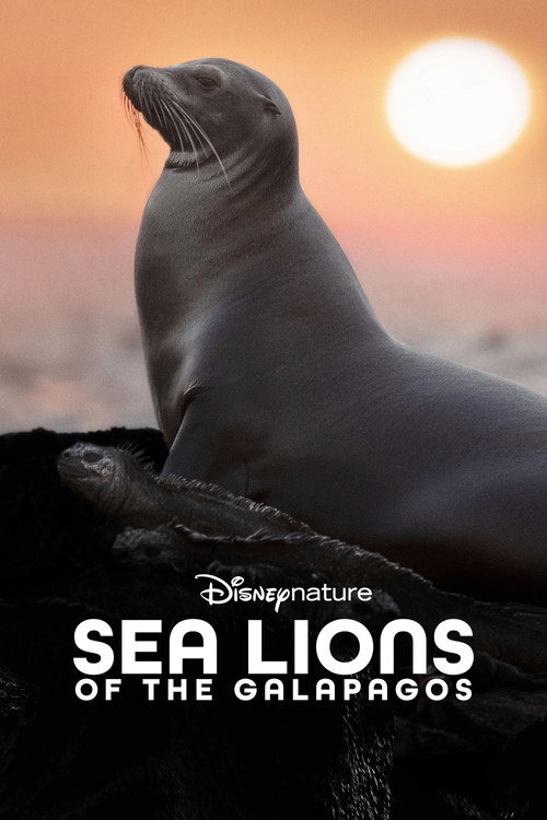 Постер: Sea Lions of the Galapagos