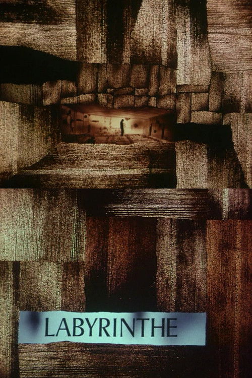 Постер: Le labyrinthe